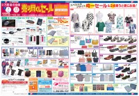 page 1 thumbnail